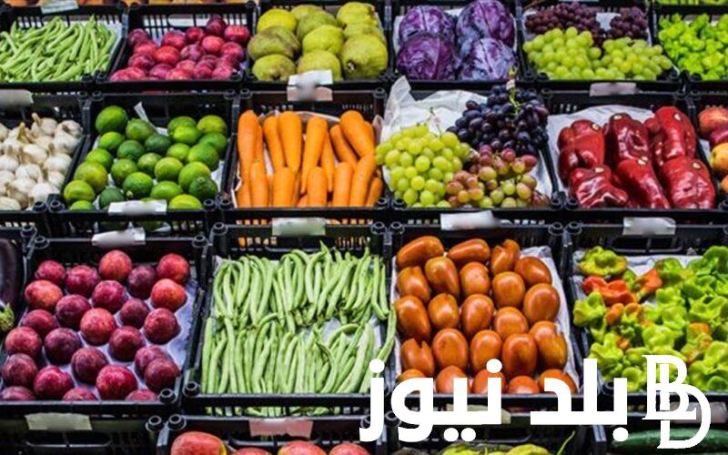 “يا خزين يابصل” أسعار البصل اليوم في سوق العبور الاحد 31 مارس 2024