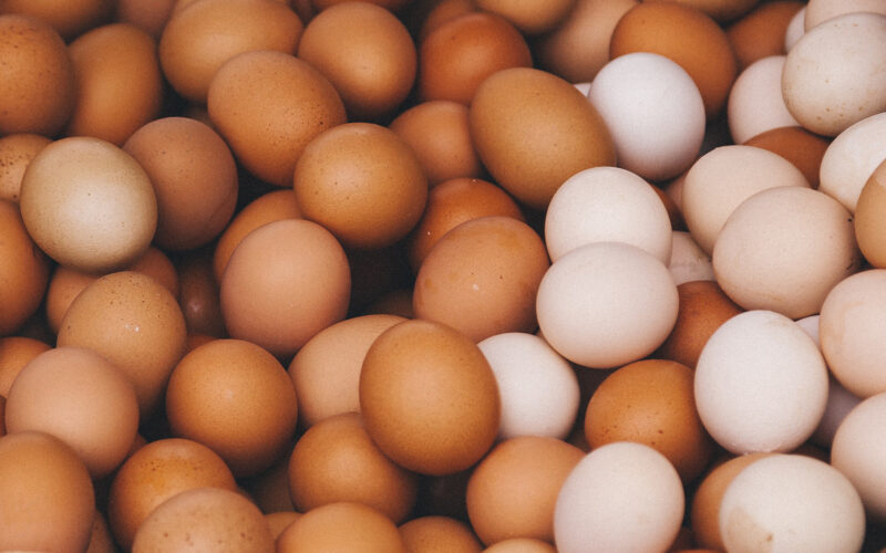 البيضة بكام؟ سعر البيض البلدى اليوم الاربعاء 13 مارس 2024 للمستهلك
