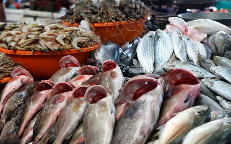 أسعار السمك اليوم السبت 23 مارس 2024 للمُستهلك في مصر