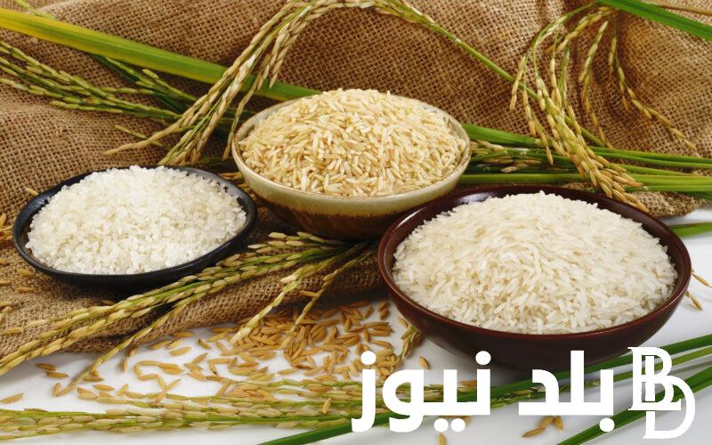 ‎سعر طن الأرز الشعير اليوم الأربعاء 6 مارس 2024 للمستهلك بالأسواق المحلية