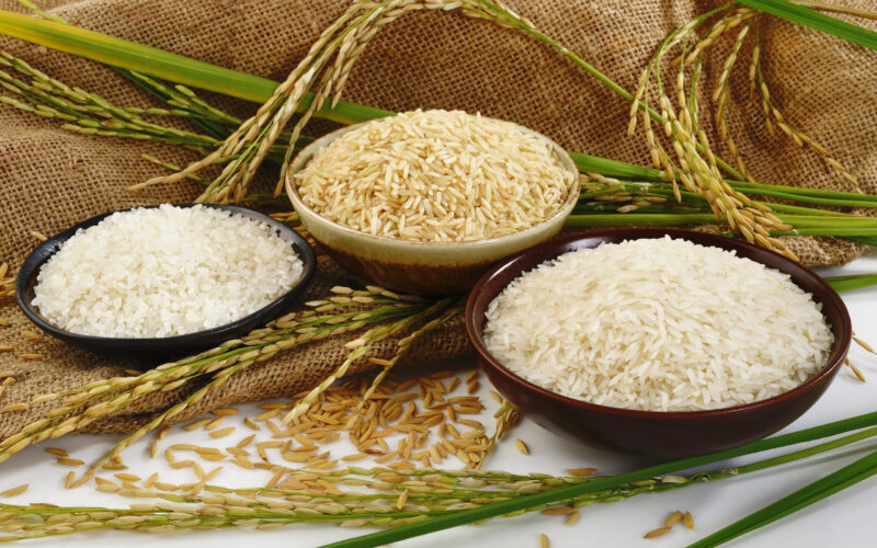 ” الكيلو بكام ”  سعر طن الأرز الشعير اليوم الثلاثاء 5 مارس 2024 في الأسواق المصرية للمستهلك