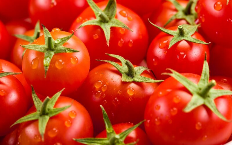 “مجنونة ياقوطة” سعر الطماطم اليوم السبت 2 مارس 2024 في مصر بجميع الأسواق