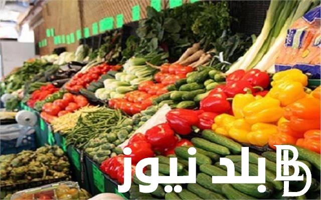 بعد زيادة البنزين تعرف علي اسعار الخضار اليوم 23 مارس في سوق العبور
