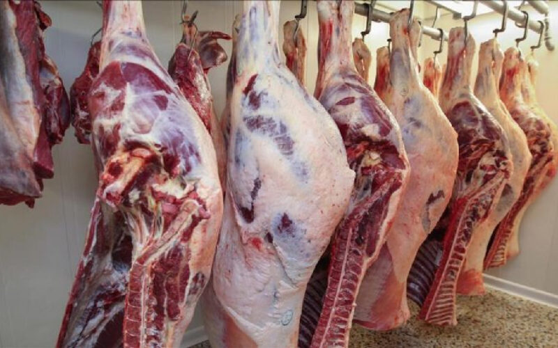 “بلدي وبتلو” اسعار اللحوم اليوم الثلاثاء 26 مارس 2024 للمستهلك في محلات الجزارة وفي منافذ البيع