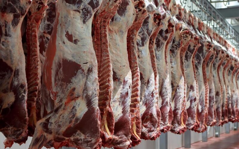 “البلدي و الضأن” أسعار اللحوم اليوم الاربعاء 20 مارس 2024 في جميع محلات الجزارة