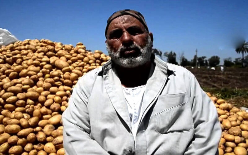 أسعار البطاطس اليوم في سوق العبور السبت 30 مارس 2024 والفواكهة لتجار الجملة