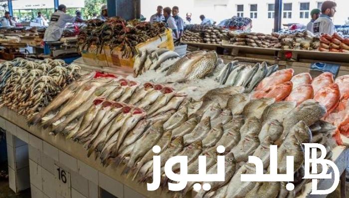 بكام النهادة ؟.. أسعار السمك اليوم البلطي الثلاثاء 19 مارس 2024 في الاسواق للمستهلك