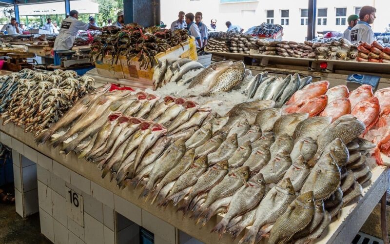 اسعار السمك اليوم السبت 16 مارس 2024 بسوق العبور في مصر