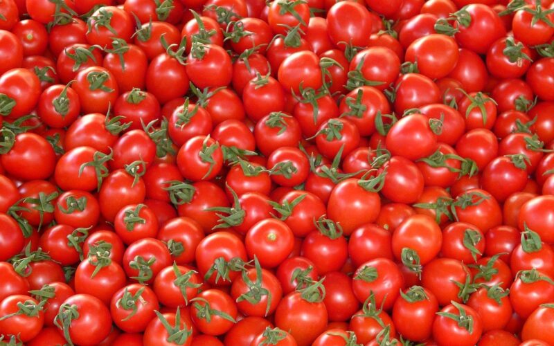 استقرار سعر الطماطم اليوم الاحد 3 مارس 2024 في سوق العبور