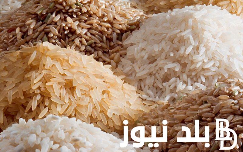 الطن بكام؟.. سعر طن الأرز الشعير اليوم السبت 16 مارس 2024 بجميع الاسواق