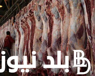 “بتلو وجملي” اسعار اللحوم اليوم الجمعة 15 مارس 2024 للمستهلك في محلات الجزارة وفي منافذ البيع