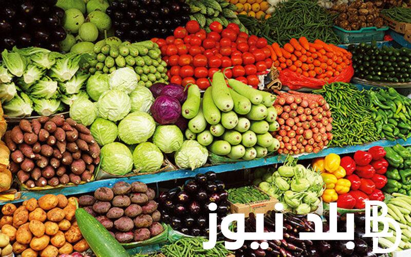 ننُشر جدول أسعار الخضار اليوم في مصر الاربعاء 13 مارس 2024 في سوق العبور