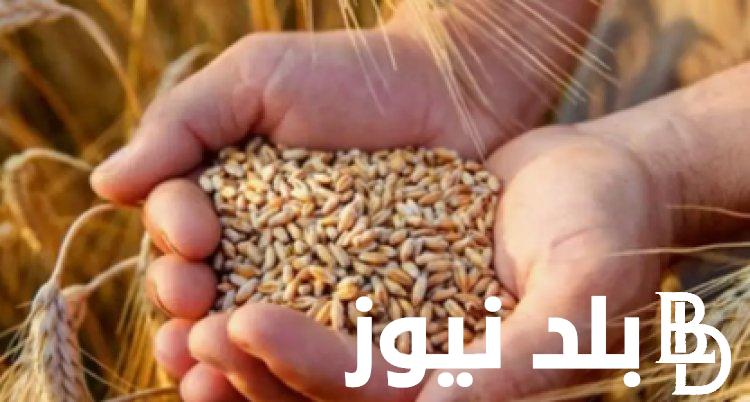 “أبيض وشعير” سعر طن الأرز الشعير اليوم الاحد 24 مارس 2024 بجميع الاسواق