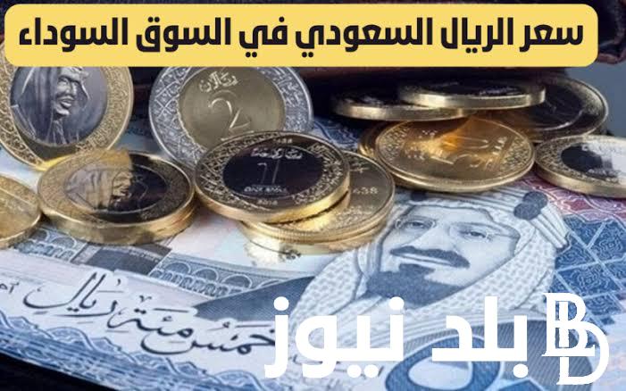 الخليجي بقي بكام؟.. سعر الريال السعودى مقابل الجنيه المصري اليوم السبت 23 مارس 2024