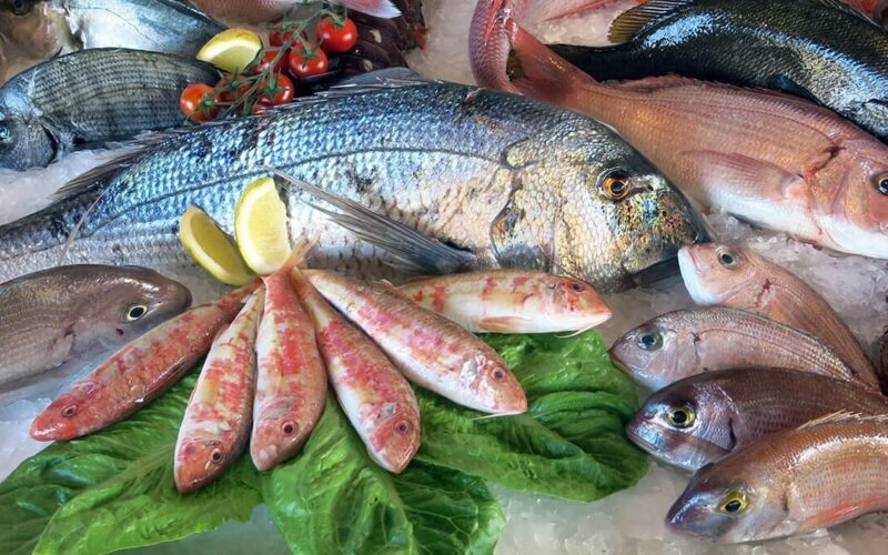 “البلطي الاسواني”اسعار السمك اليوم الاثنين 25 مارس 2024 بسوق العبور لتجارة الجملة في مصر