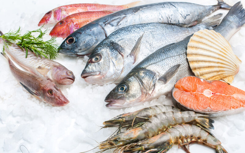 أسعار السمك اليوم بسوق العبور بتاريخ الجمعة 19 رمضان 2024 في مصر