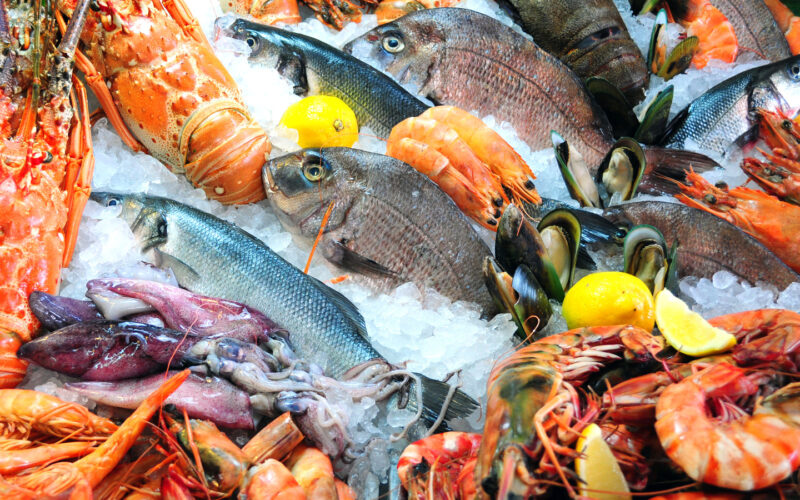 قائمة اسعار السمك اليوم الثلاثاء 26 مارس 2024 في الأسواق المصرية للمستهلك