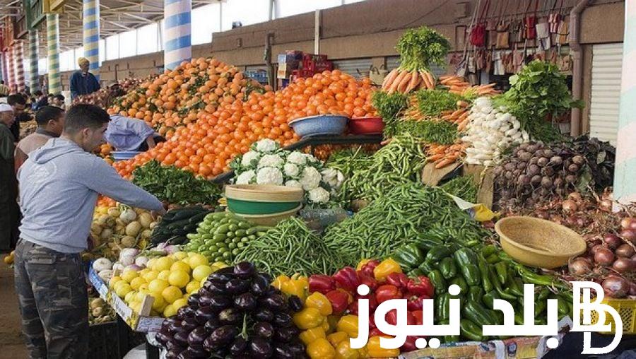 طماطم وبصل  اسعار الخضار اليوم الاحد 31 مارس 2024 للمستهلك وتجار التجزئة في سوق العبور - بلد نيوز