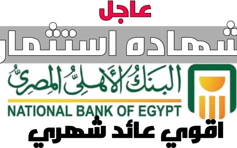 آخر تفاصيل شهادات البنك الاهلي المصري الإستثمارية بعوائد تصل إلى 22% و19% و18%