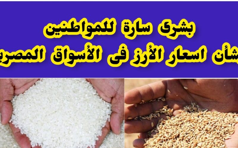 بكم سعر طن الأرز الشعير اليوم الخميس 28 مارس 2024 فى جميع الاسواق المصريه