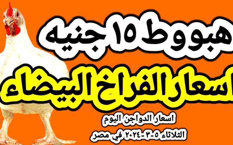 “تراجع قبل رمضان” اسعار الفراخ البيضاء اليوم الثلاثاء 5 مارس 2024 في بورصة الدواجن والمحال التجارية