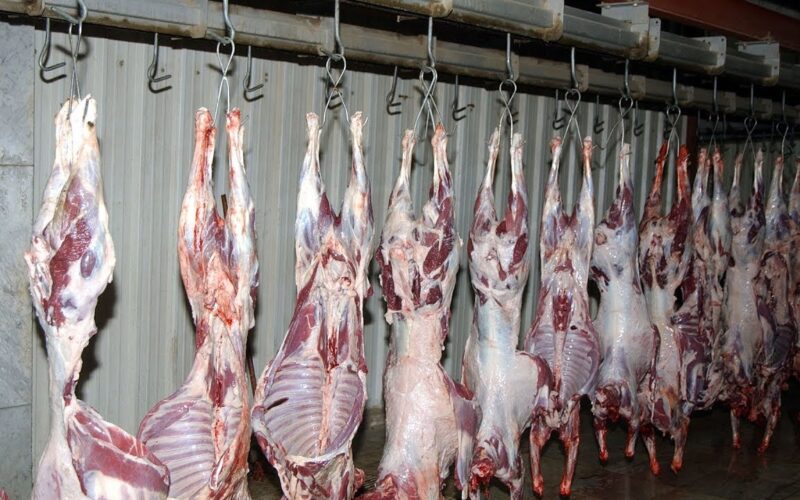 تعرف على اسعار اللحوم اليوم الاثنين 25 مارس 2024 في المنافذ ومحلات الجزارة