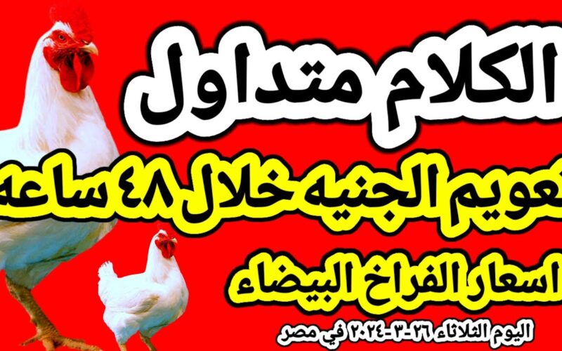 تعرف على سعر كيلو الفراخ البيضاء اليوم الثلاثاء 26 مارس 2024 جملة وقطاعي
