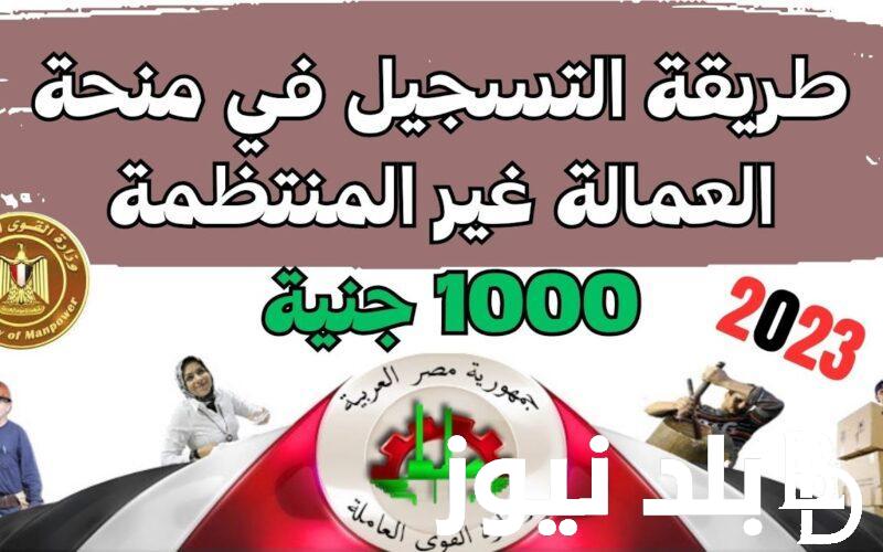 شغالة “منحة الـ 1000 جنية” || خطوات التسجيل في منحة العمالة الغير منتظمة 2024 وطرق الاستعلام عنها من manpower وزارة القوى العاملة المصرية.
