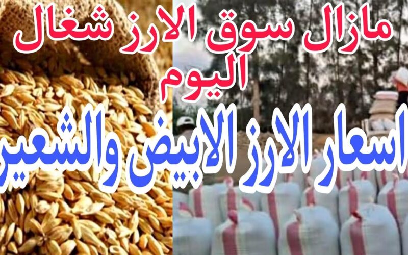 سعر طن الأرز الشعير اليوم الخميس 21-3-2024 للمستهلك في مصر