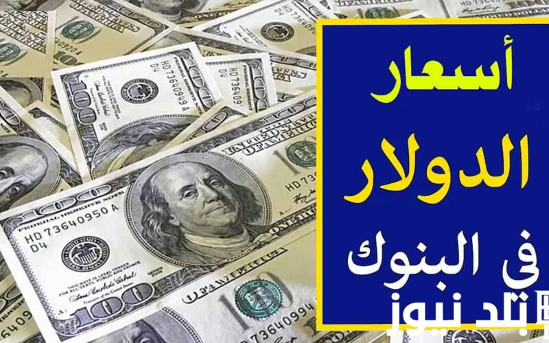 “الاخضر مسيطر” سعر الدولار في البنوك المصرية اليوم الاحد 17 مارس 2024