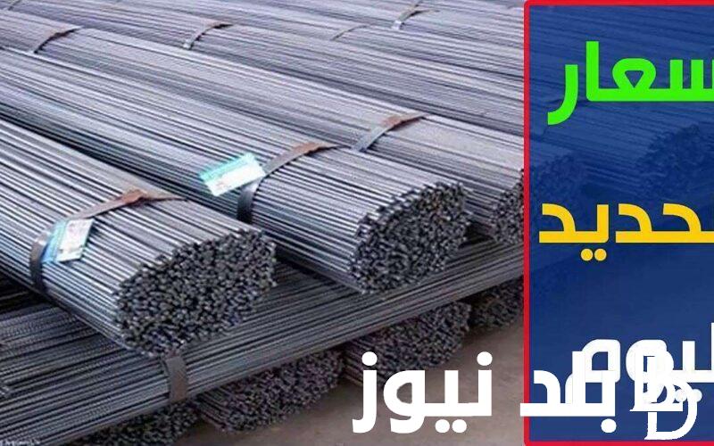 سعر طن الحديد اليوم حديد عز الاحد 31 مارس 2024 للمُستهلك في مصر