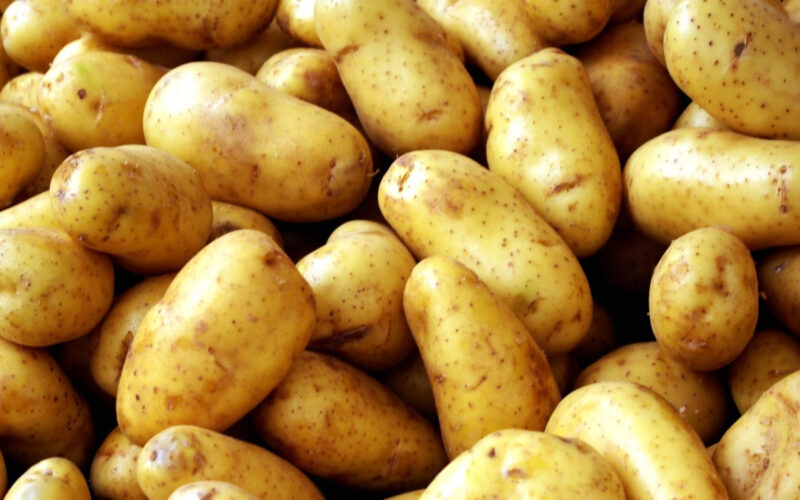ننشر.. أسعار البطاطس اليوم في سوق العبور الاربعاء 13 مارس 2024