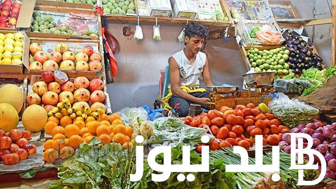 أسعار الخضروات والفاكهة بمصر اليوم الجمعة 22 مارس 2024 في سوق العبور