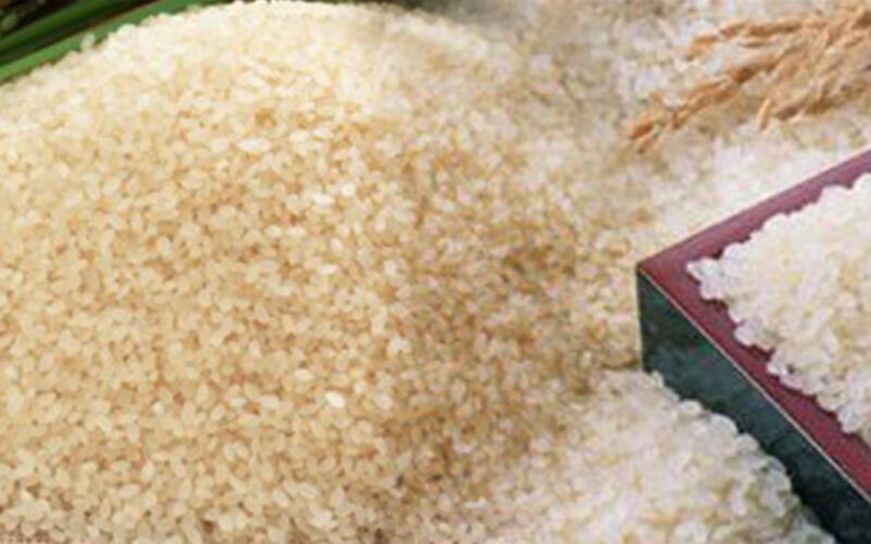 ” رفيع وعريض الحبة ” سعر طن الأرز الشعير اليوم الخميس 7 مارس 2024 في جميع الأسواق المصرية للمستهلك