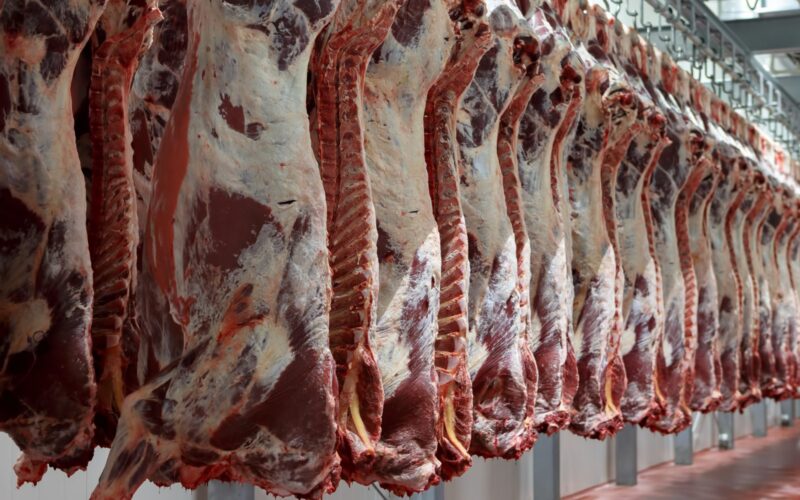 قائمة اسعار اللحوم اليوم السبت 30 مارس 2024 في محلات الجزارة والمنافذ للمستهلك