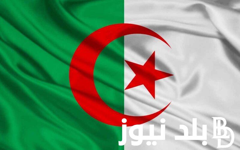 تاريخ عطلة الربيع 2024 في الجزائر 2024 التربية الوطنية توضح