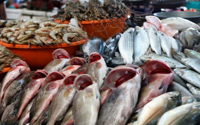“طازة ومجمد”  اسعار السمك اليوم الاحد 17 مارس 2024 للمستهلك في سوق العبور