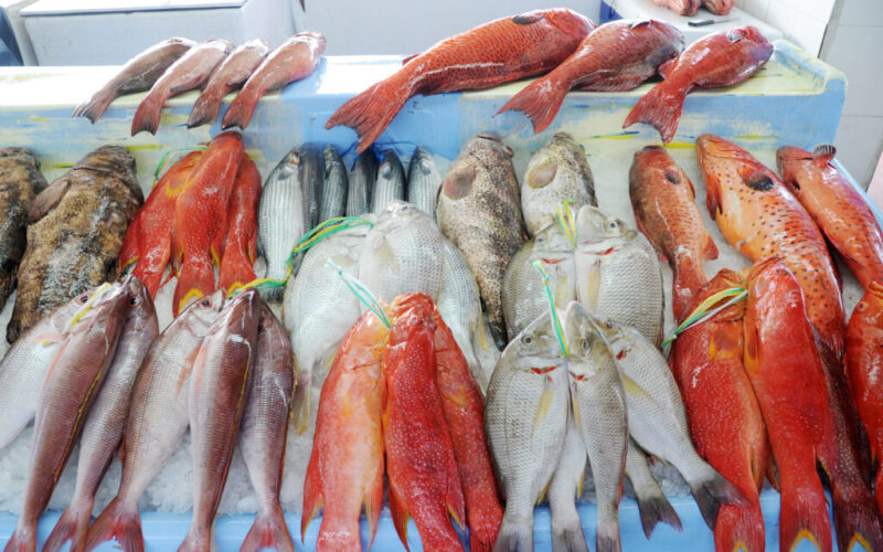 جدول أسعار السمك اليوم بسوق العبور بتاريخ الثلاثاء 5 مارس 2024 للمستهلك