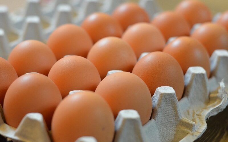 سعر البيض الأحمر اليوم الاحد 17 مارس 2024 للمُستهلك في الأسواق