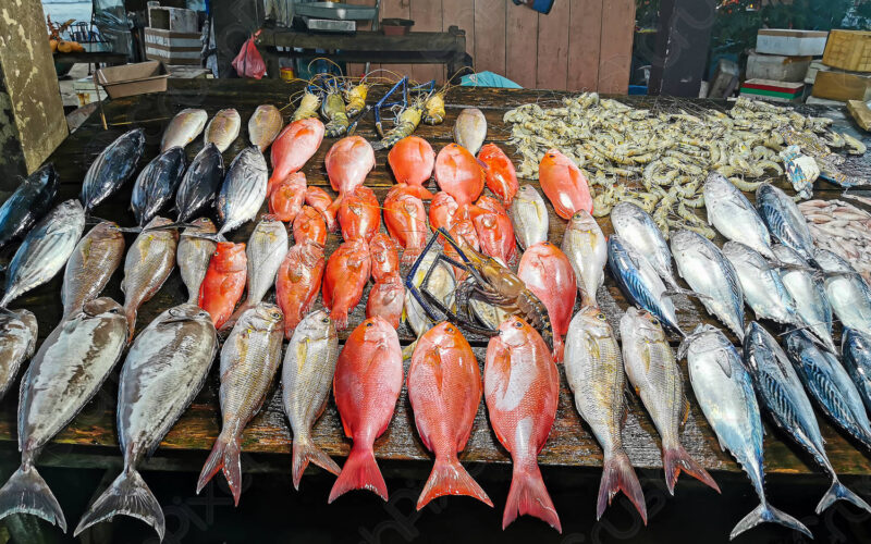 جدول اسعار السمك اليوم الأربعاء 27 مارس 2024 في سوق العبور