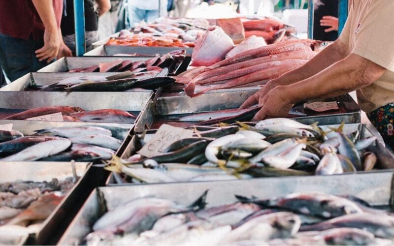 أسعار السمك اليوم بسوق العبور الخميس 28 مارس 2024 كيلو السمك البلطي بكم؟