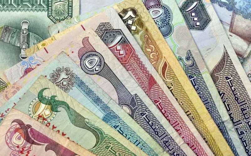 سعر الدرهم الاماراتي مقابل الجنيه اليوم الاثنين 25 مارس 2024 في السوق الموازية والبنوك المصرية