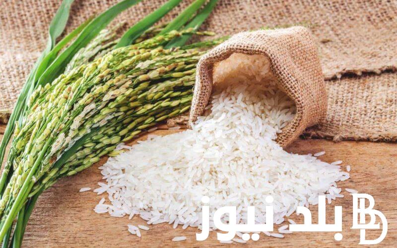 سعر طن الأرز الشعير اليوم الجمعة 29 مارس 2024 في مختلف الاسواق المصرية