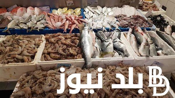 اسعار السمك اليوم الخميس 7 مارس 2024 فى منافذ البيع وجميع الاسواق المصريه