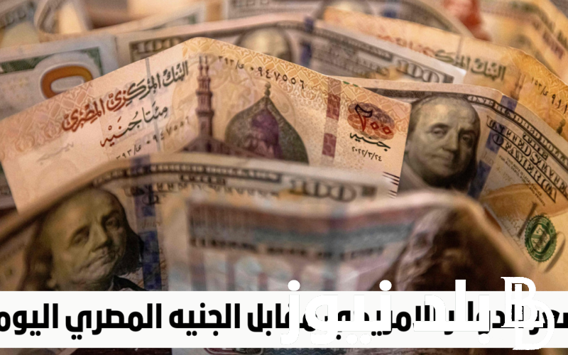 “الاستقرار يسيطر” سعر الدولار اليوم في السوق السوداء والبنوك المصرية بتاريخ السبت 6-4-2024