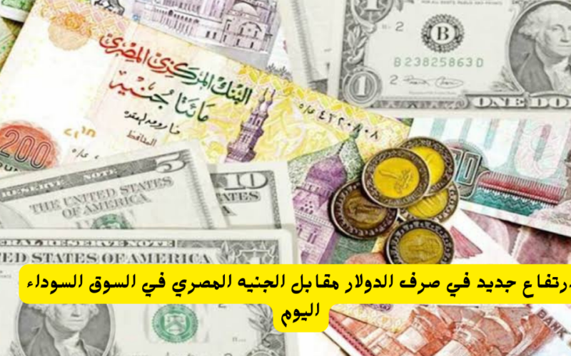 كم سعر الدولار اليوم في السوق السوداء 17/4/2024 في مصر