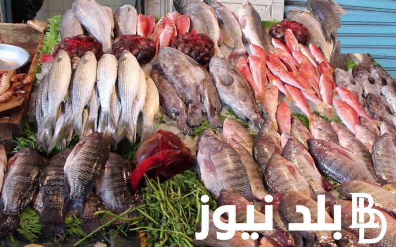 “صاحي وبيلعب” أسعار السمك اليوم للمستهلك الثلاثاء 16 ابريل 2024 بسوق العبور للجملة