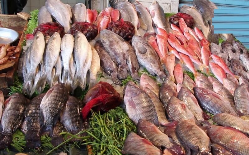 “بربون وبلطي” اسعار السمك اليوم للمستهلك السبت 13 ابريل 2024 للمستهلك في سوق العبور