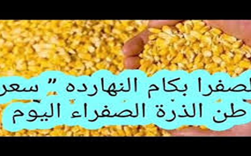 “الارجنتيني والبرازيلي” سعر طن الذرة الصفراء اليوم الأربعاء 17 ابريل 2024 للمستهلك في مصر