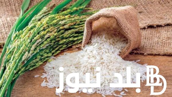 “تراجع قوي” سعر طن الأرز الشعير اليوم الاحد 7 ابريل 2024 في مصر